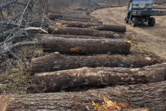 2026-05-05T19_43_20.461790Z-68844