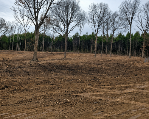 Land Clearing Services
